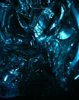 Nos prestations sur le secteur de Toulouse 31 Occitanie